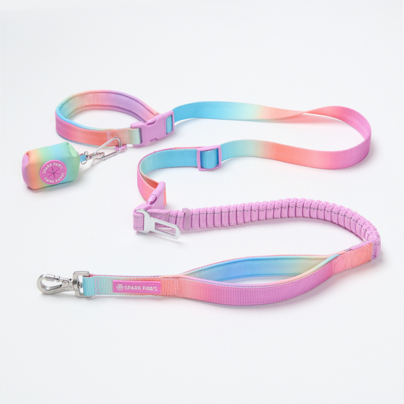 Bingo's Multipurpose Seatbelt Handsfree Leash & Poop Bag Holder Set - Pastel Icing
