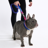 Multipurpose Seatbelt Handsfree Leash & Poop Bag Holder Set - Snow Cone