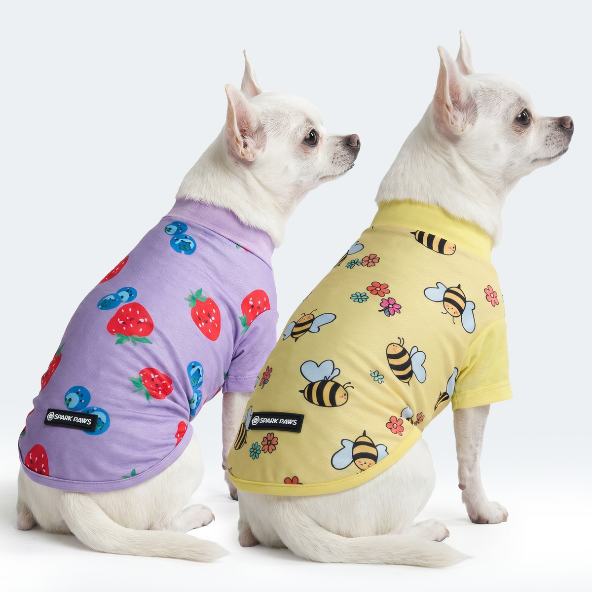 Sunblock Dog T-Shirt (2-pack) - Bees Berries – SPARK PAWS