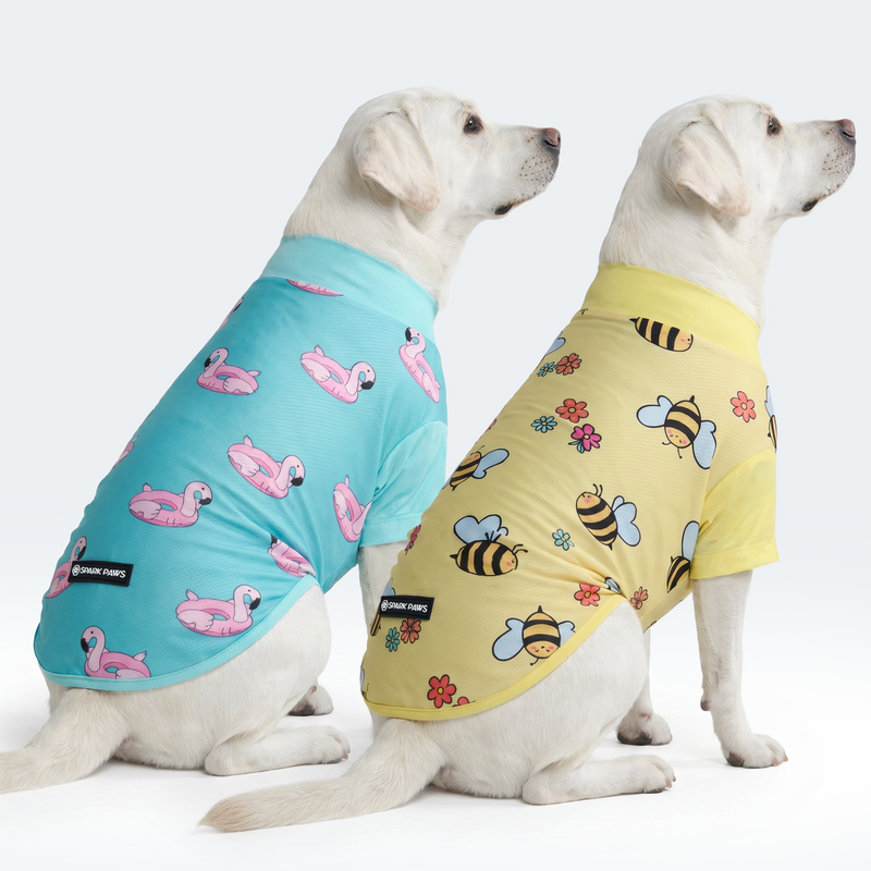 Sunblock Dog T-Shirt 2-pack – SPARK PAWS