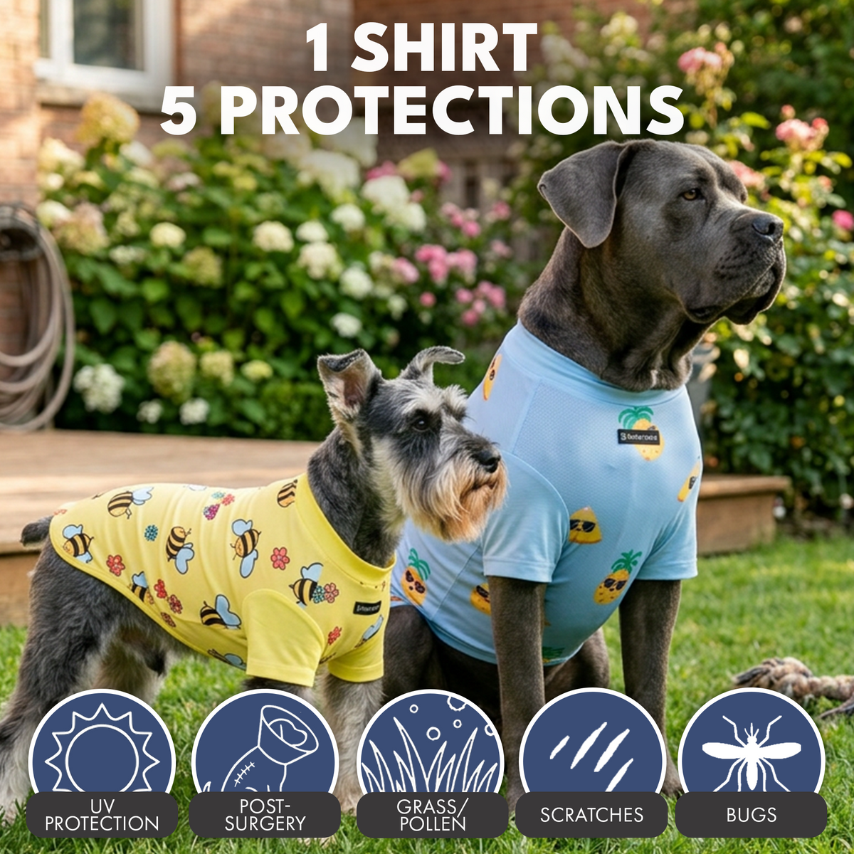 Sunblock Dog T-Shirt (2-pack) - Bees Pineapple – SPARK PAWS