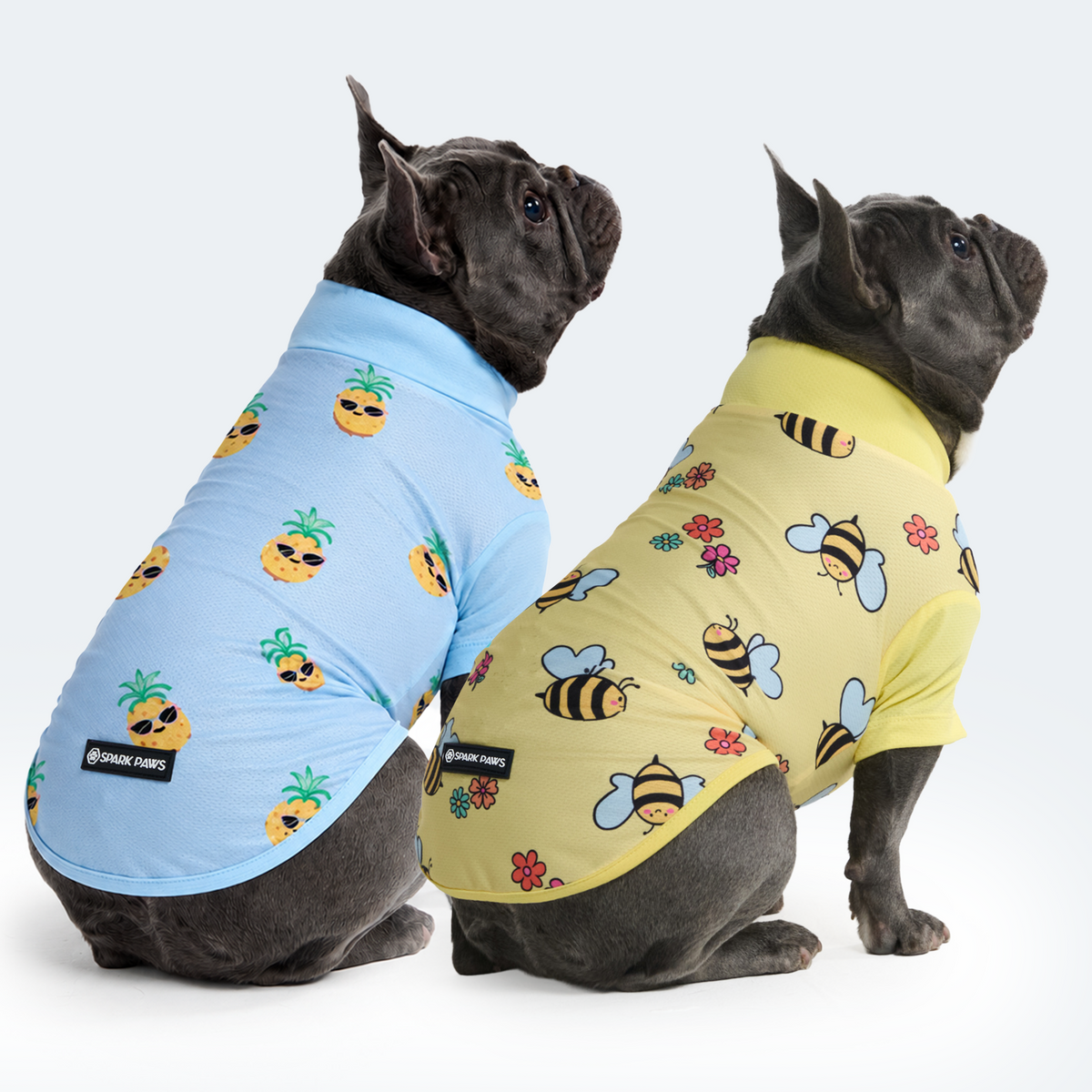 Sunblock Dog T-Shirt (2-pack) - Bees Pineapple – SPARK PAWS