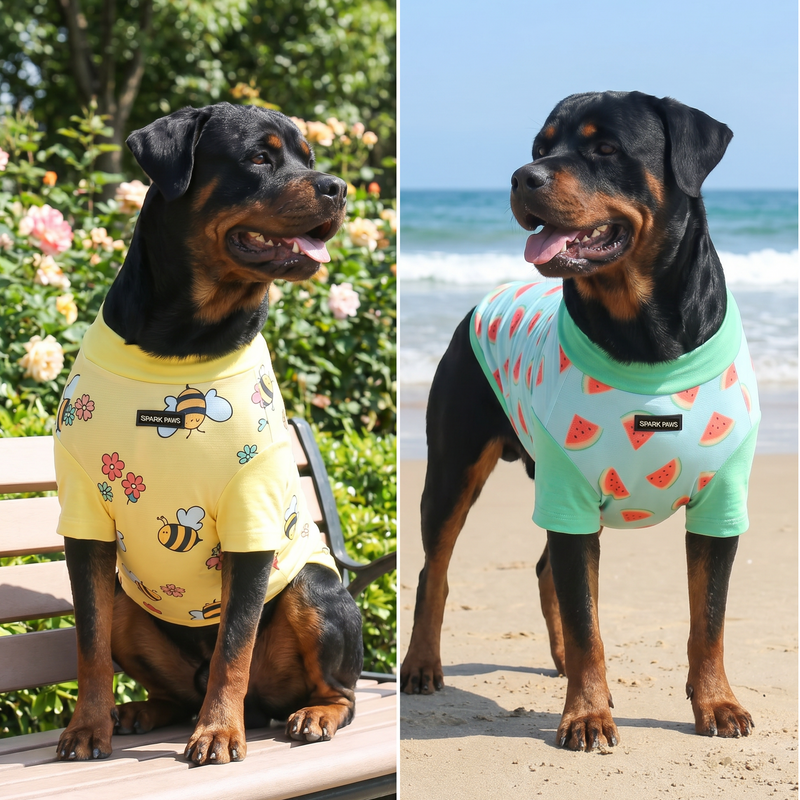 Sunblock Dog T-Shirt (2-pack) - Bees Watermelon – SPARK PAWS