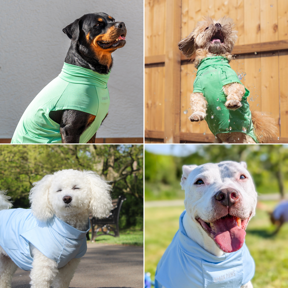 Sunblock Dog T-Shirt (2-pack) - Blue Mint – SPARK PAWS