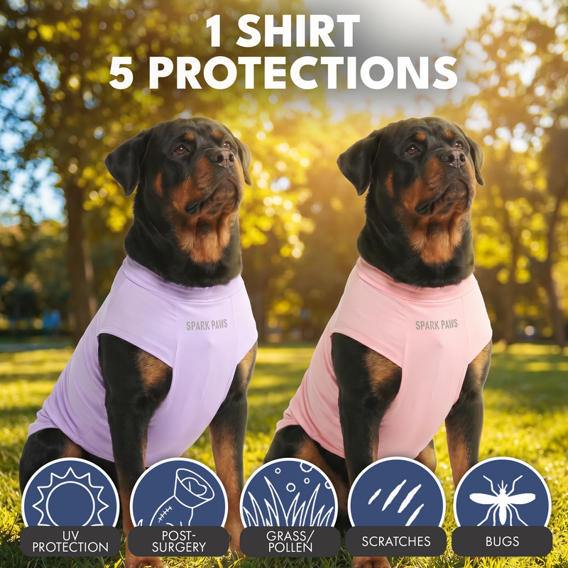 Sunblock Dog T-Shirt (2-pack) - Pink Purple – SPARK PAWS