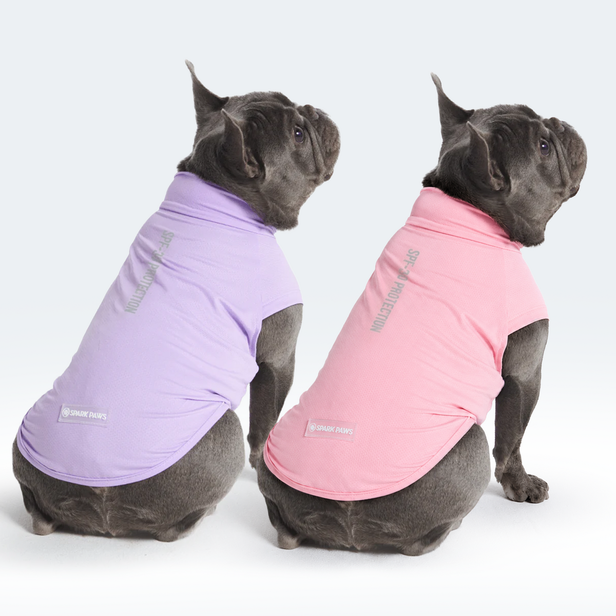 Sunblock Dog T-Shirt (2-pack) - Pink Purple – SPARK PAWS