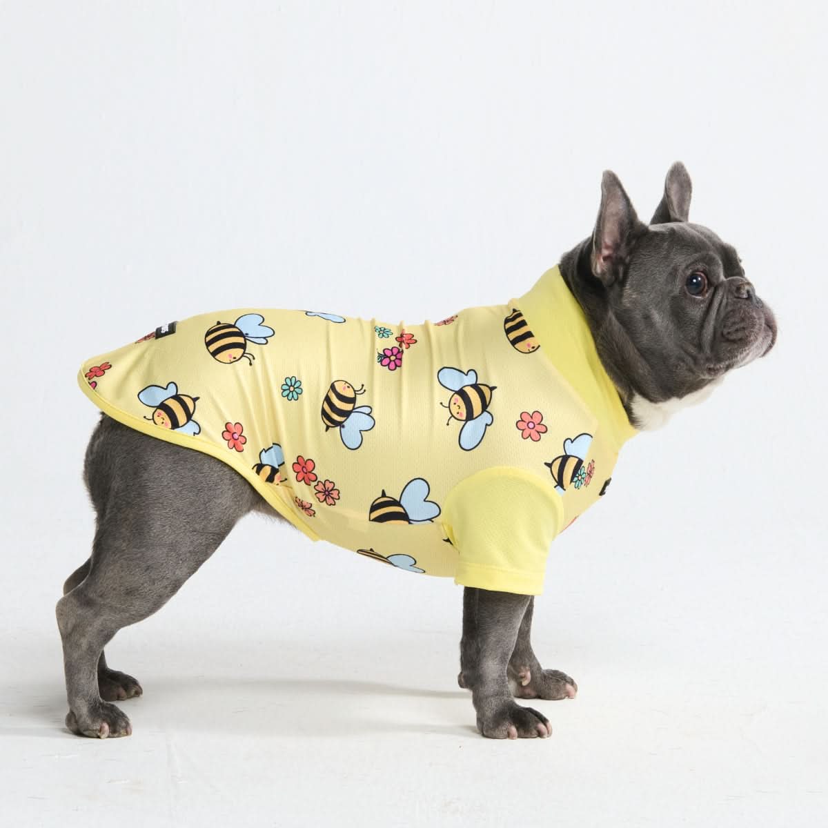 Sunblock Dog T-Shirt - Prints – SPARK PAWS