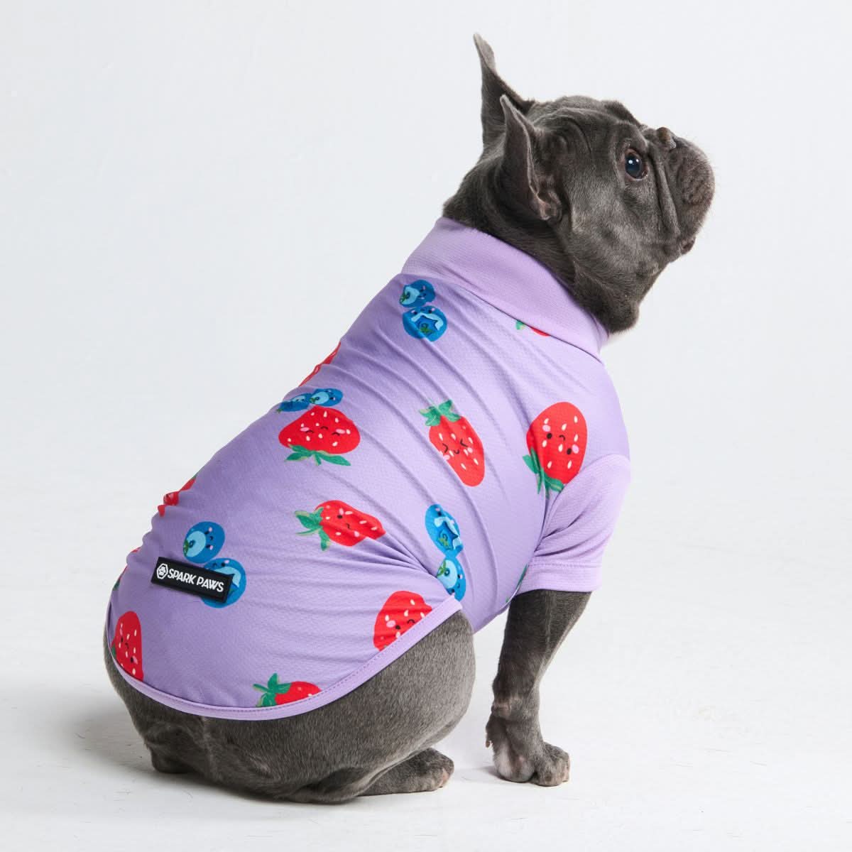 Bulldog Pug Clothes Online Spark Paws Premium Dog Clothing, Walk