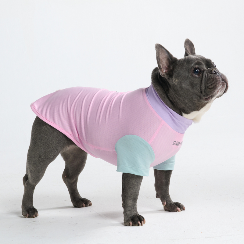 Sunblock Dog T-Shirt - Color Block – SPARK PAWS