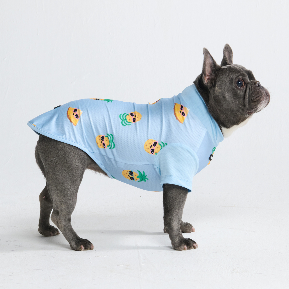 Sunblock Dog T-Shirt - Pineapple – SPARK PAWS