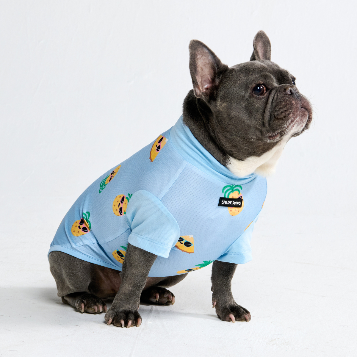 Sunblock Dog T-Shirt - Pineapple – SPARK PAWS