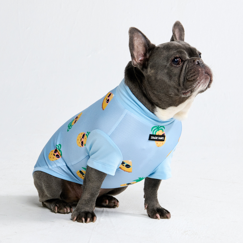 Sunblock Dog T-Shirt - Pineapple – SPARK PAWS