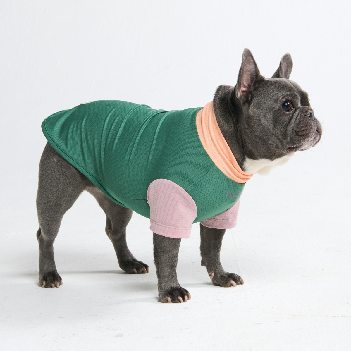 Sunblock Dog T-Shirt - Pistachio – SPARK PAWS