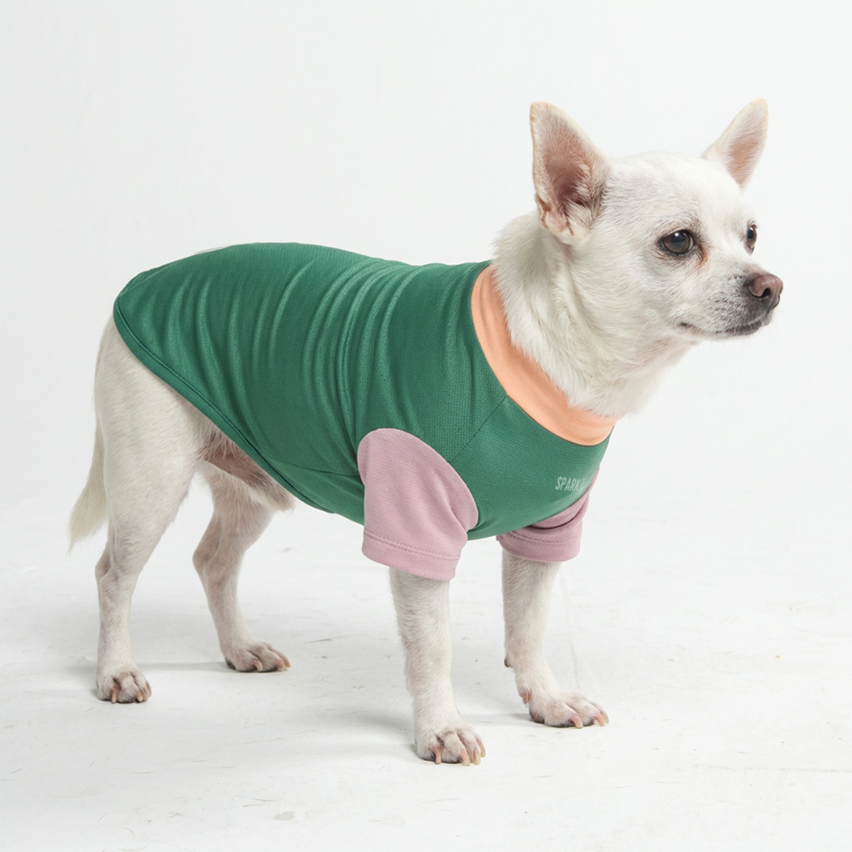 Sunblock Dog T-Shirt - Pistachio – SPARK PAWS