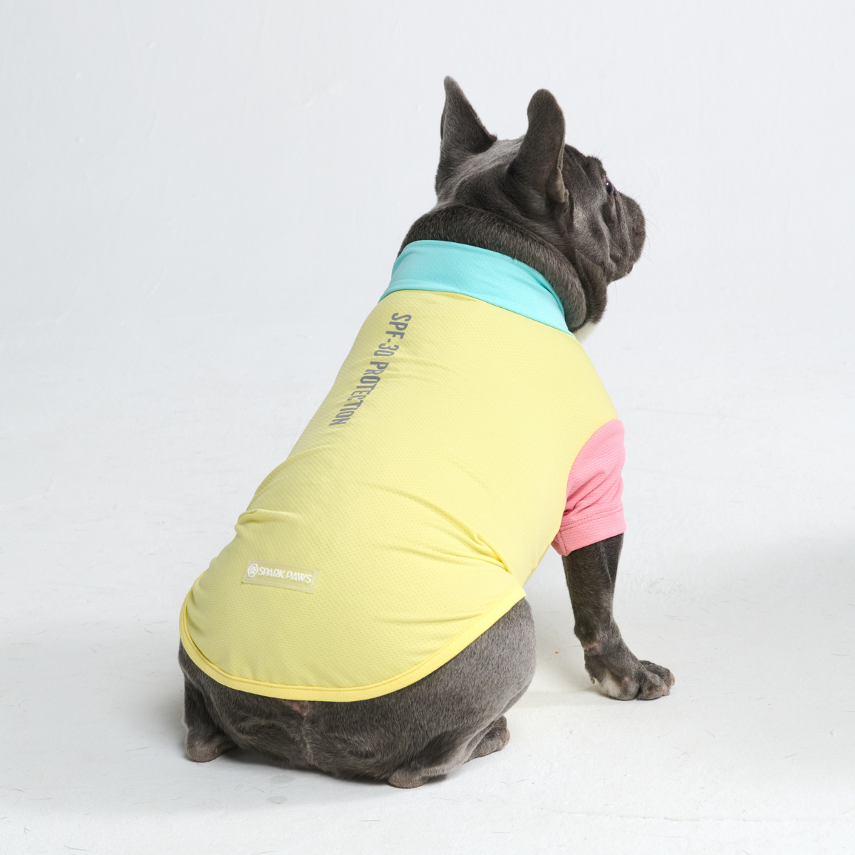 Sunblock Dog T-Shirt - Yuzu – SPARK PAWS
