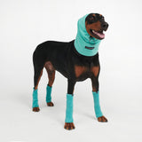 Stretchy Fleece Dog Leg Warmer Sleeves - Turquoise