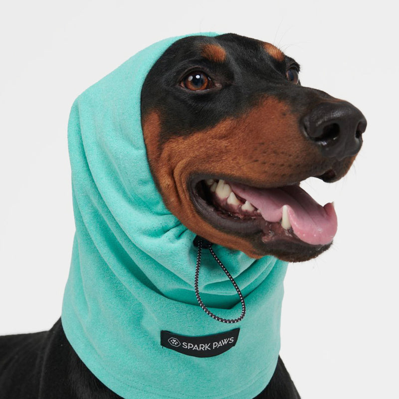 Anxiety Calming Dog Earmuff Protector - Turquoise