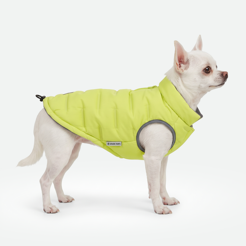ThermoSonic Winter Jacket - Neon – SPARK PAWS