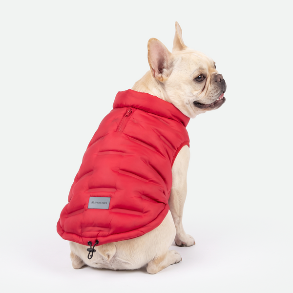 ThermoSonic Winter Jackets – SPARK PAWS