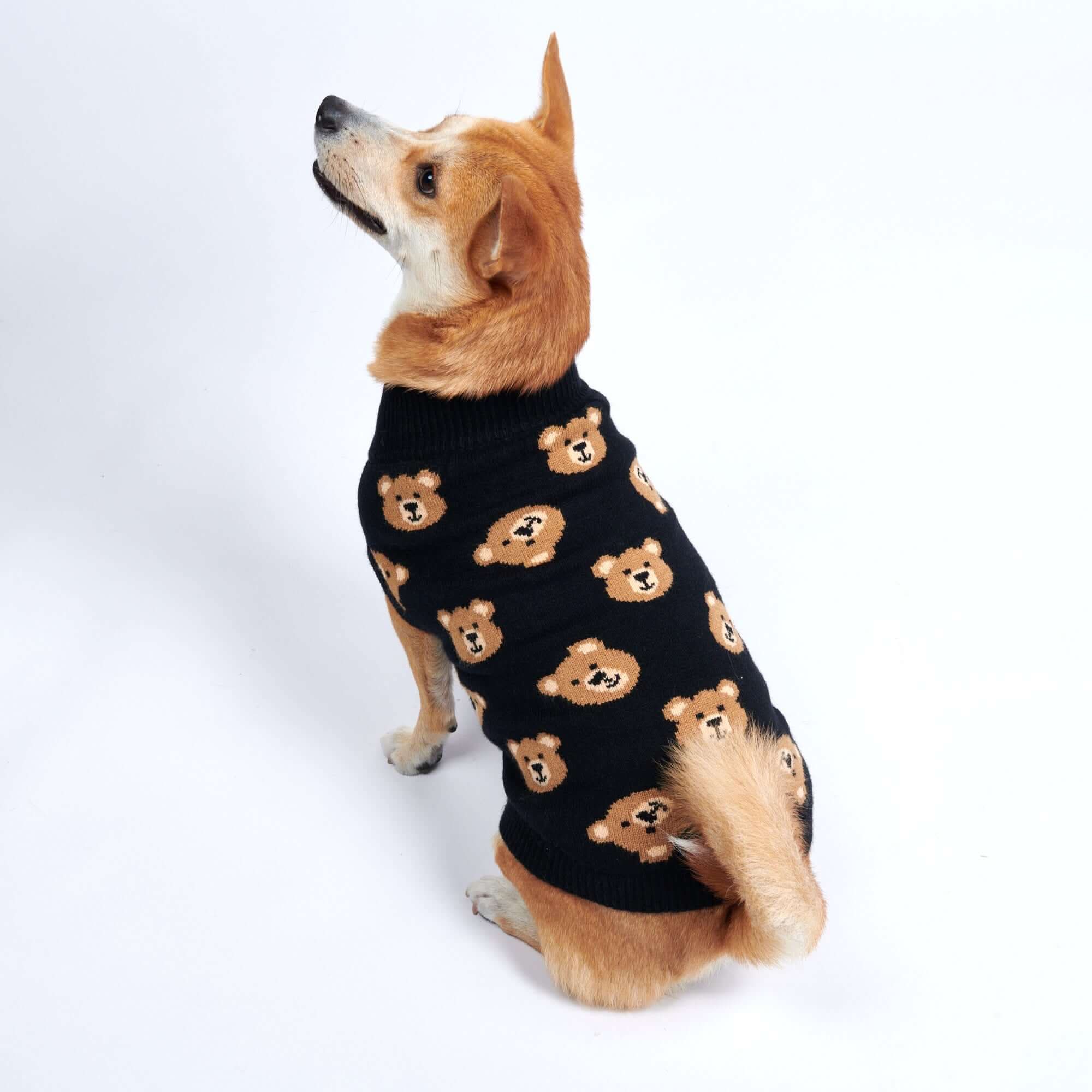 Puppy Embroidered Short Sleeve Knit Sweater