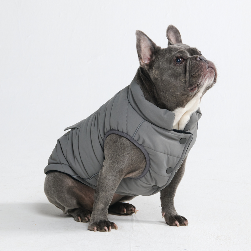 WarmShield Water-Resistant Jacket - Grey – SPARK PAWS