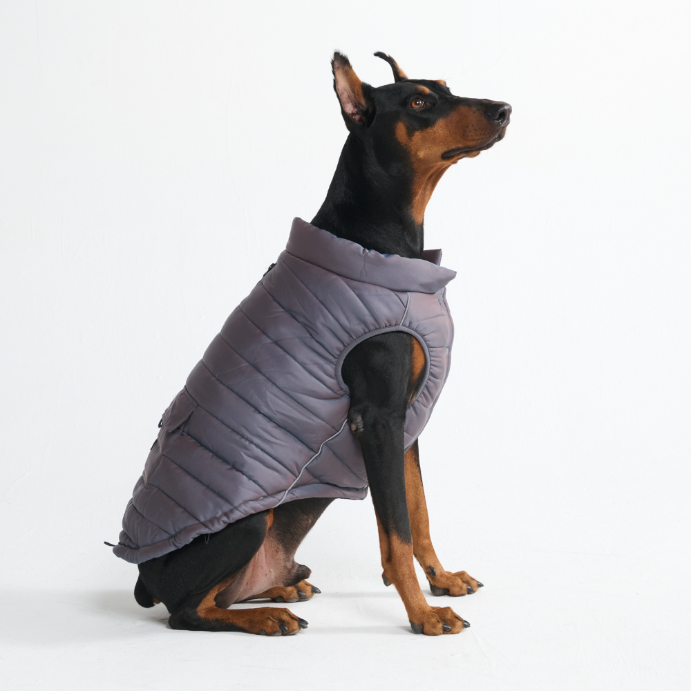 WarmShield Water-Resistant Jacket - Gunmetal Grey – SPARK PAWS