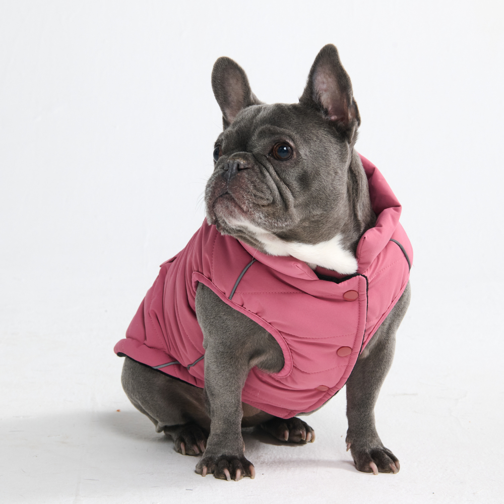 WarmShield Water-Resistant Jacket - Dusty Pink – SPARK PAWS