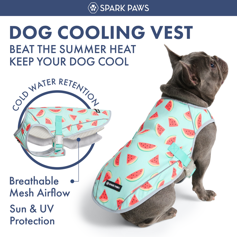 Dog Cooling Vest - Watermelon – SPARK PAWS