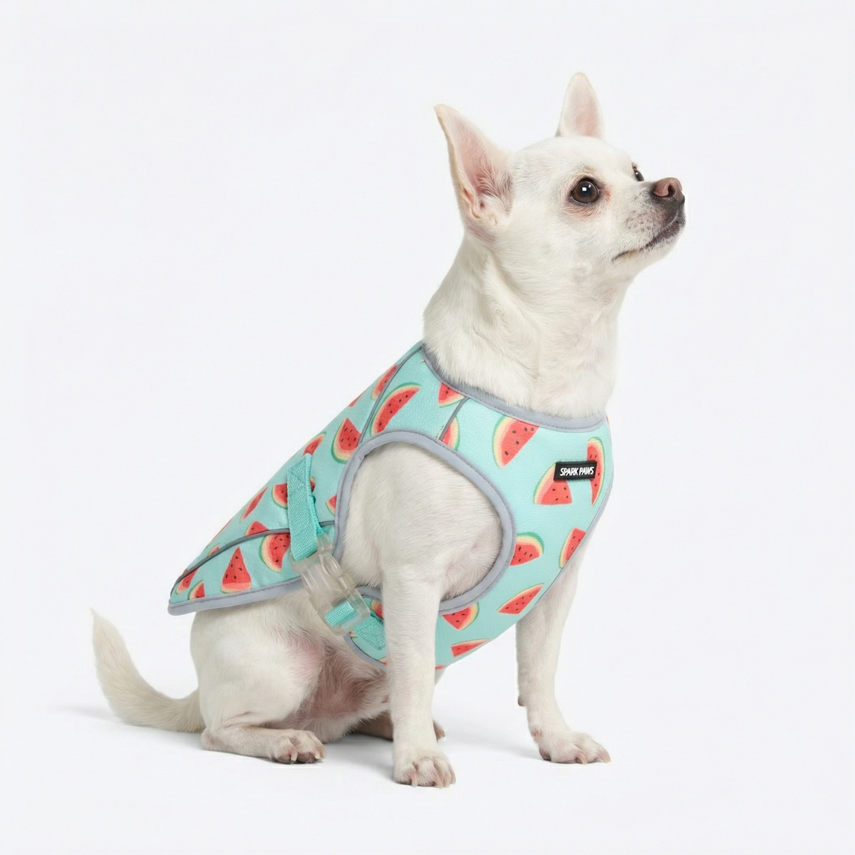Dog Cooling Vest - Watermelon – SPARK PAWS