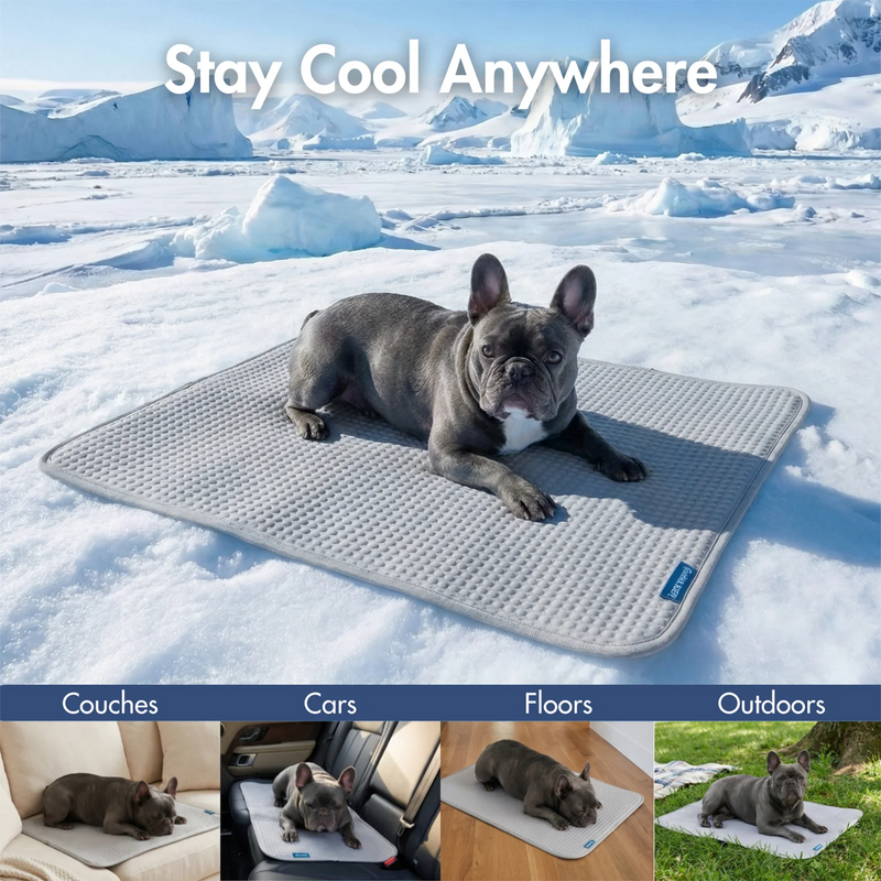 Frostcore™ Cooling Mat 2 Pack – SPARK PAWS
