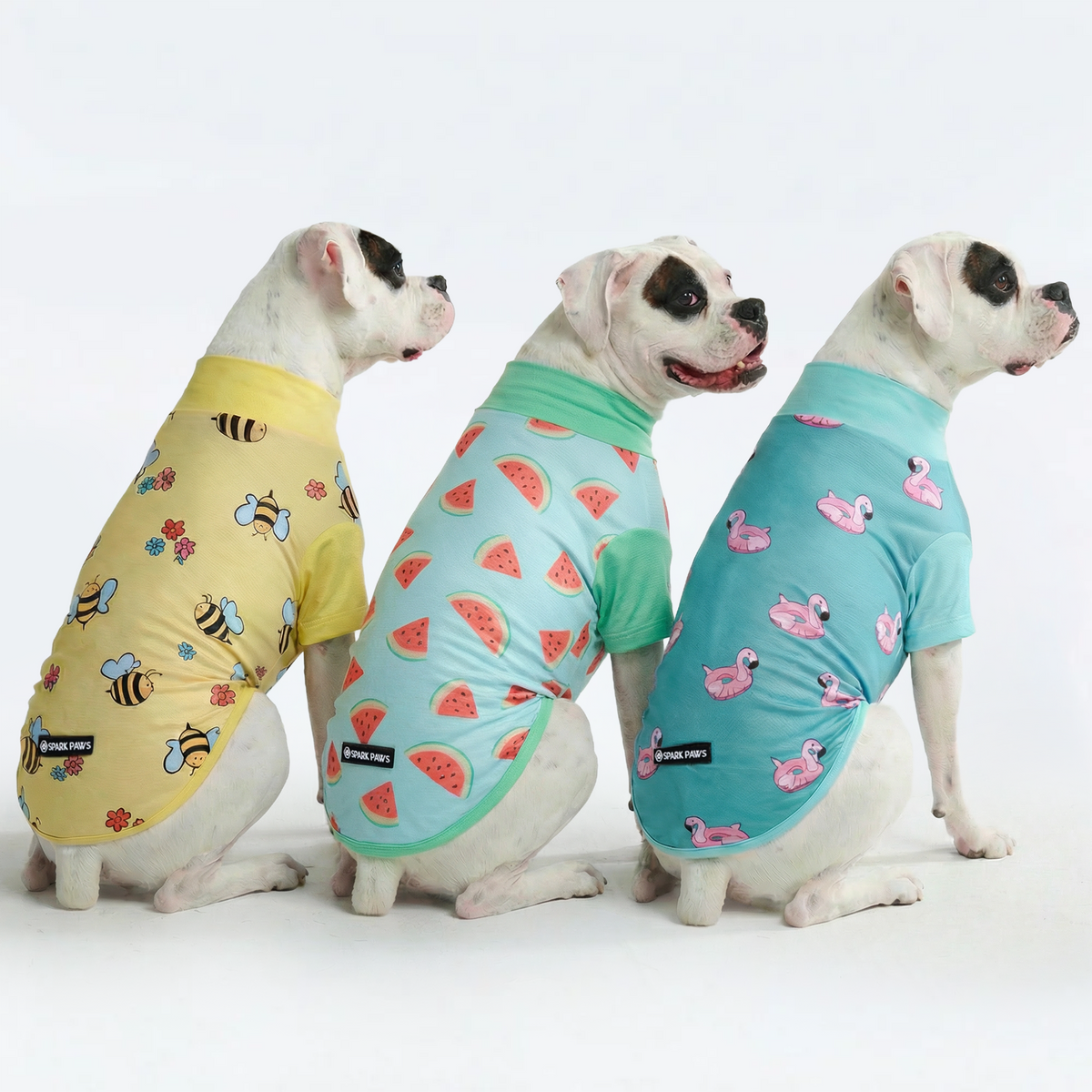 Sunblock Dog T-Shirt (3-pack) - Bees, Flamingo, Watermelon – SPARK