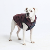 WarmShield Water-Resistant Jacket - Cosmic