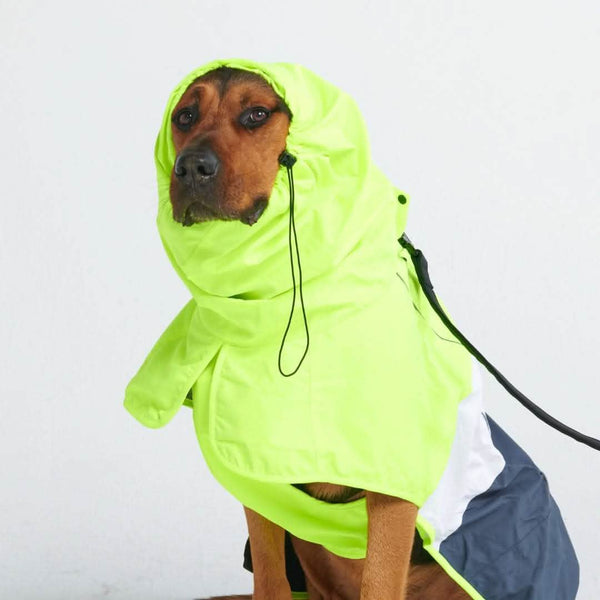 Dog Raincoat Jacket – SPARK PAWS