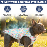 Cherries Popsicles||size:S,M,L,XL,2XL,3XL,4XL,5XL