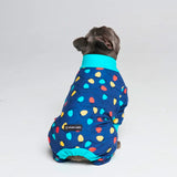 Dog Pajama - Festive Lights