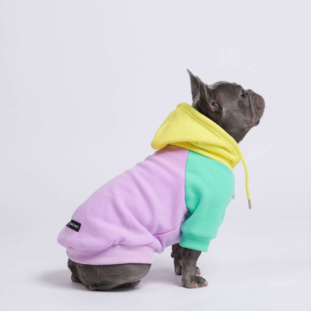 Color Block Dog Hoodies – SPARK PAWS