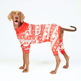 Dog Christmas Pajama - Winter Wonderland
