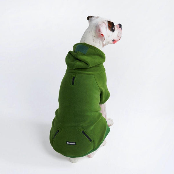 Matching Human and Dog Apparel – SPARK PAWS