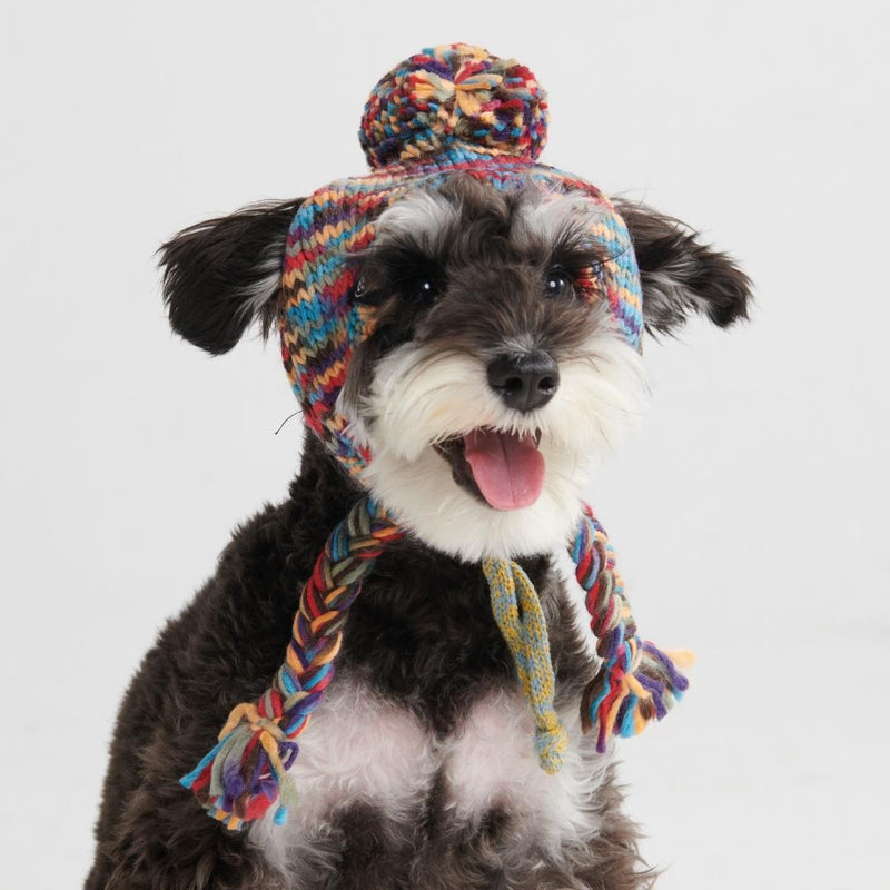 Knit Pom Pom Dog Beanie Hat - Kaleidoscope