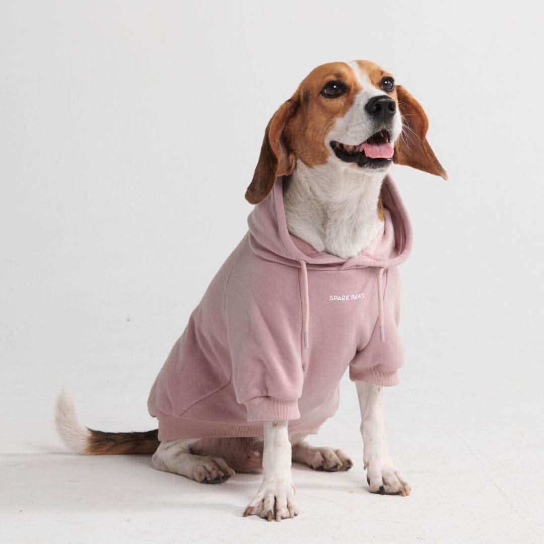 Gathering Yellow Purple Pet Dog Hoodie