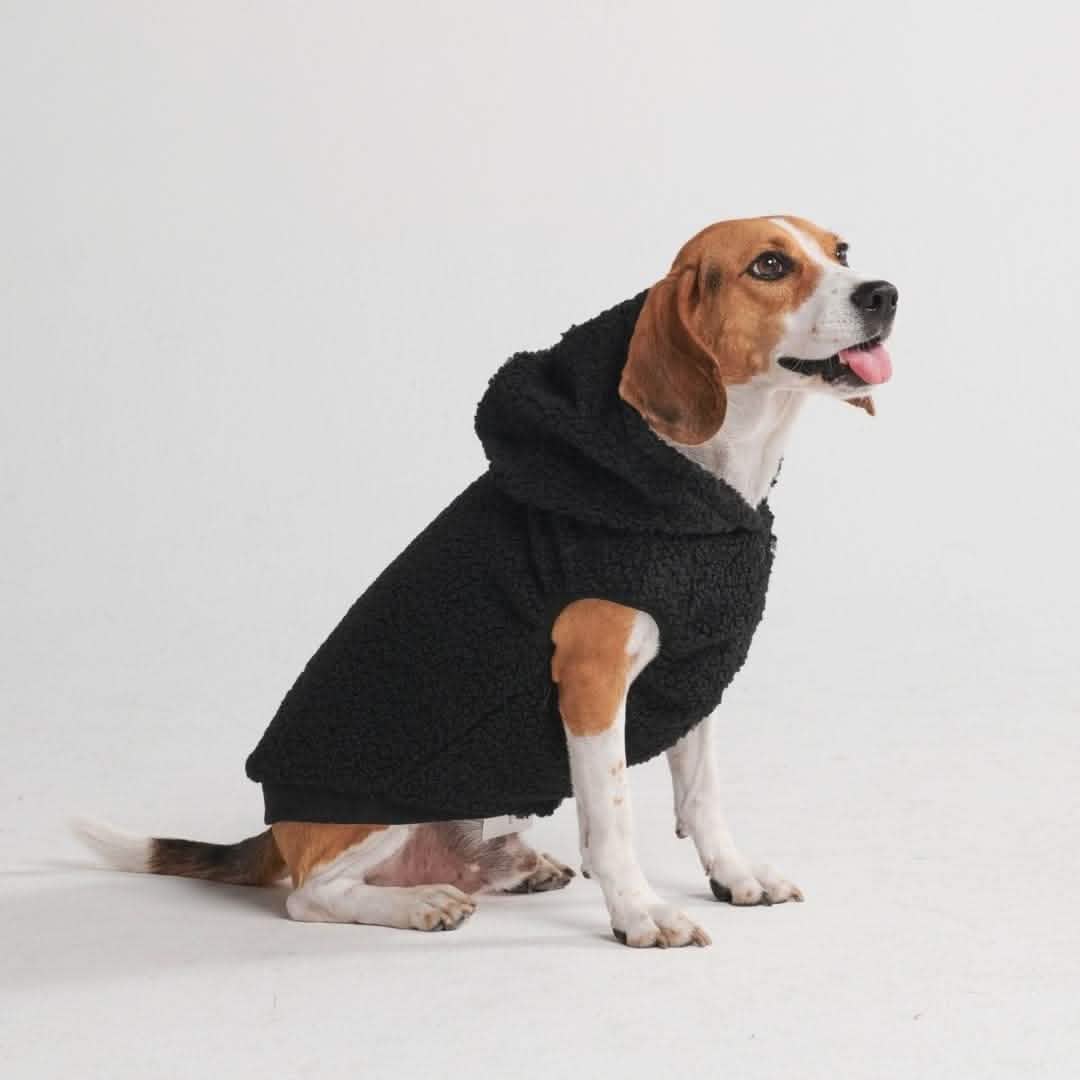 Teddy Sherpa Dog Jacket Black SPARK PAWS