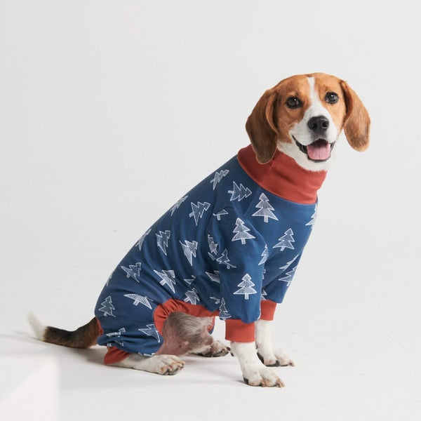 Spark Paws: Quality Dog Clothes, Collar, Harness & Accessories – SPARK PAWS