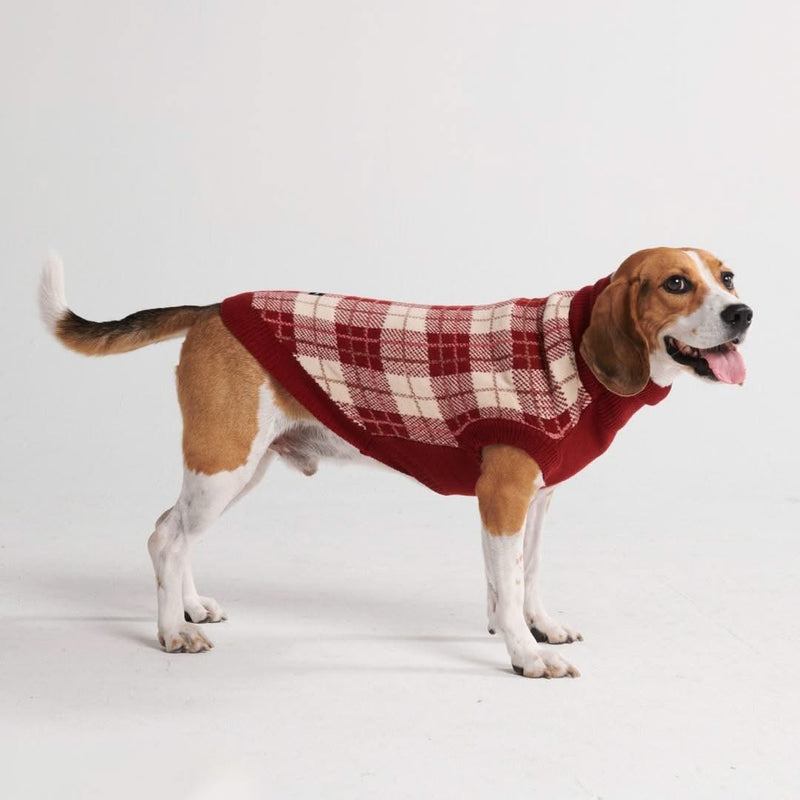 Plaid dog sweater discount