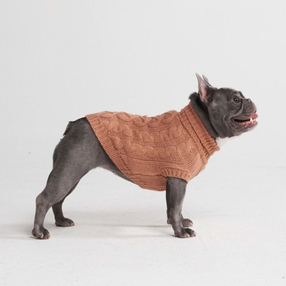 Cable Knit Dog Sweater