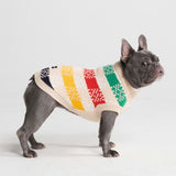 Checker Stripe Knit Dog Sweater
