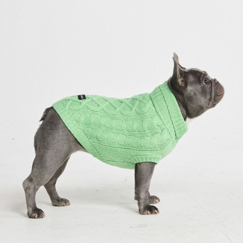 Cable Knit Dog Sweater - Mint Green – SPARK PAWS
