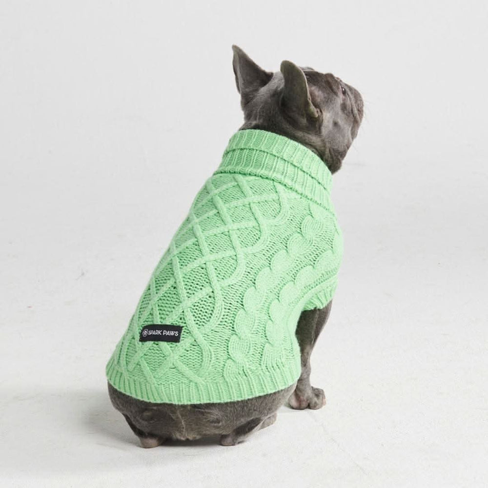 Cable Knit Dog Sweater - Mint Green – SPARK PAWS