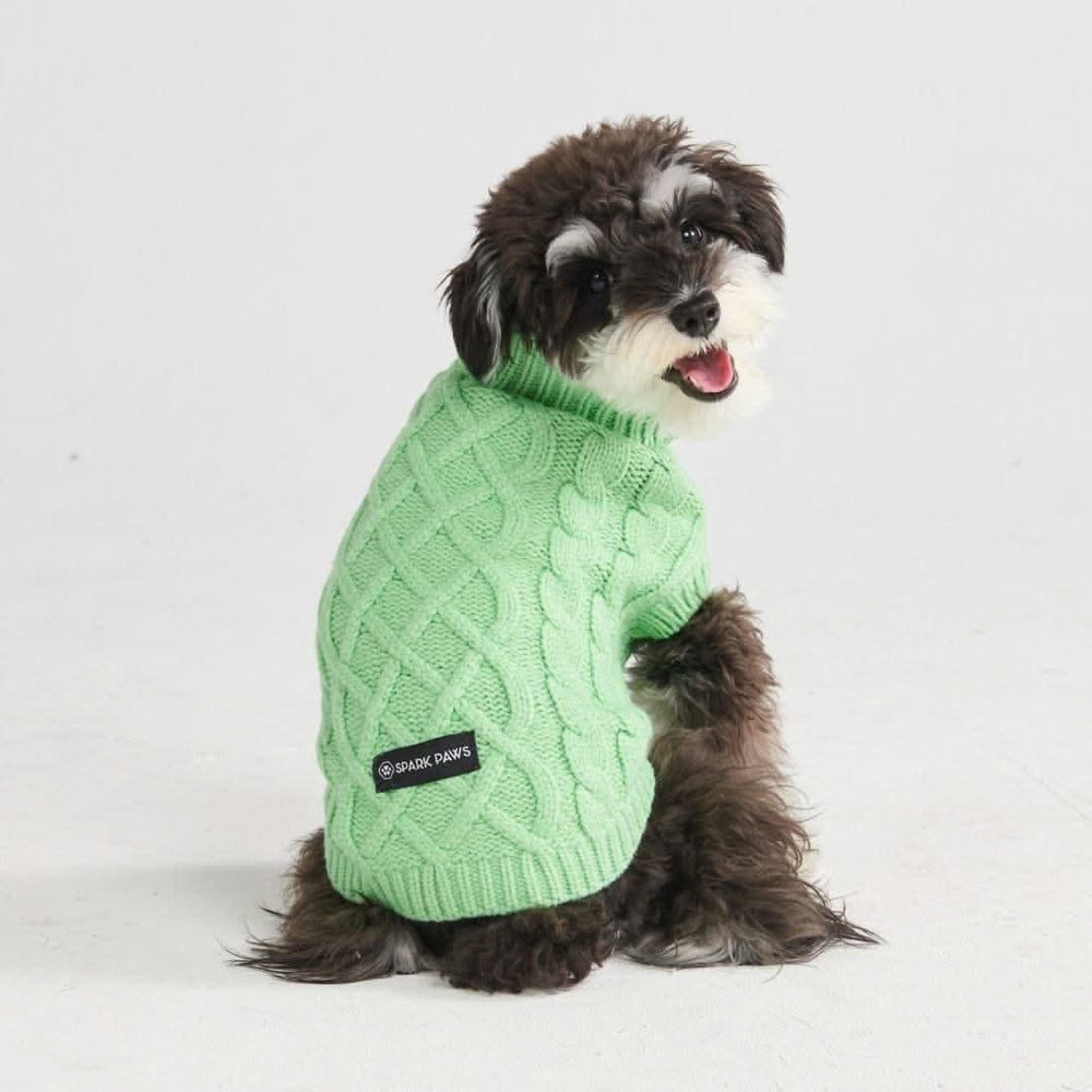 Cable Knit Dog Sweater - Mint Green – SPARK PAWS