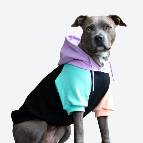Yellow Designer Dog Sweater Cozy Dog Fleece Hoodie EU Made 