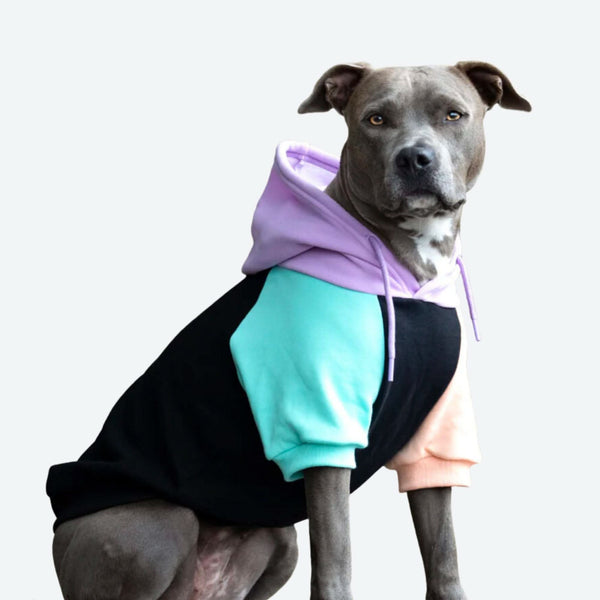Dog Apparel: Stylish Trends to Pamper Your Pup